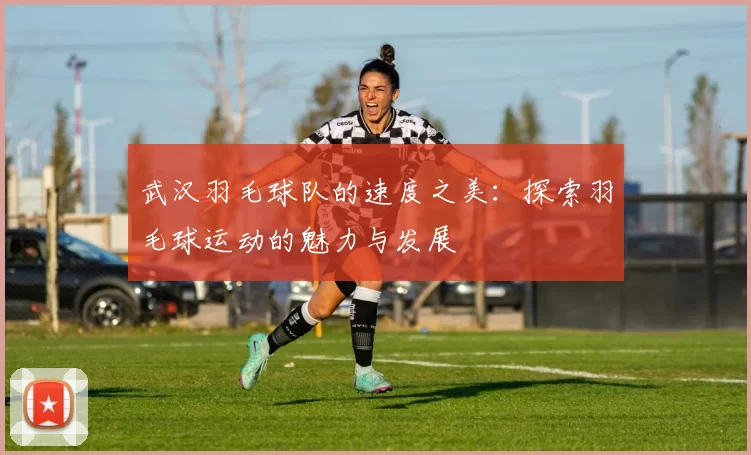 武汉羽毛球队的速度之美：探索羽毛球运动的魅力与发展