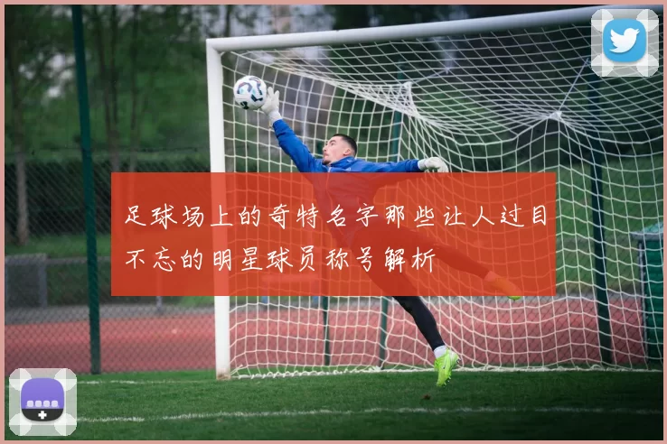 足球场上的奇特名字那些让人过目不忘的明星球员称号解析