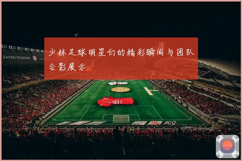 少林足球明星们的精彩瞬间与团队合影展示