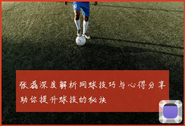 张磊深度解析网球技巧与心得分享助你提升球技的秘诀