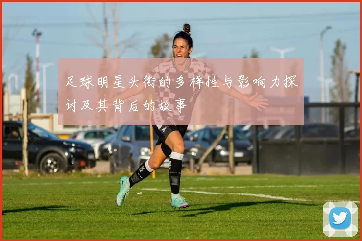 足球明星头衔的多样性与影响力探讨及其背后的故事