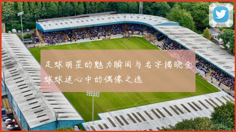 足球明星的魅力瞬间与名字揭晓全球球迷心中的偶像之选