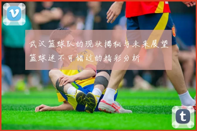 武汉篮球队的现状揭秘与未来展望篮球迷不可错过的精彩分析