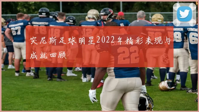 突尼斯足球明星2022年精彩表现与成就回顾
