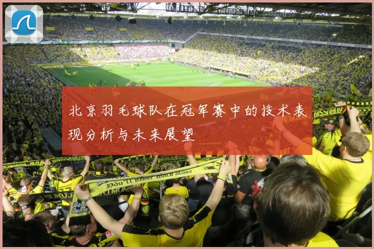 北京羽毛球队在冠军赛中的技术表现分析与未来展望