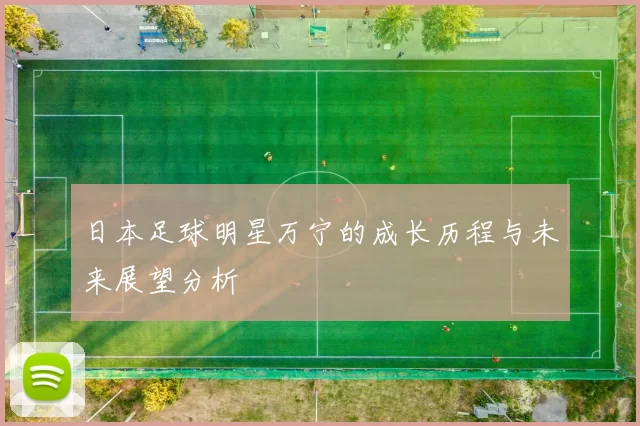 日本足球明星万宁的成长历程与未来展望分析