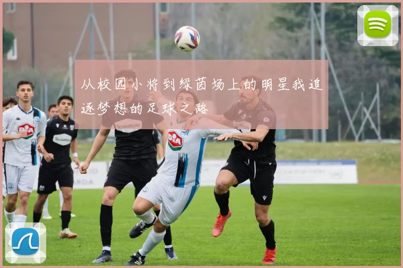 从校园小将到绿茵场上的明星我追逐梦想的足球之路