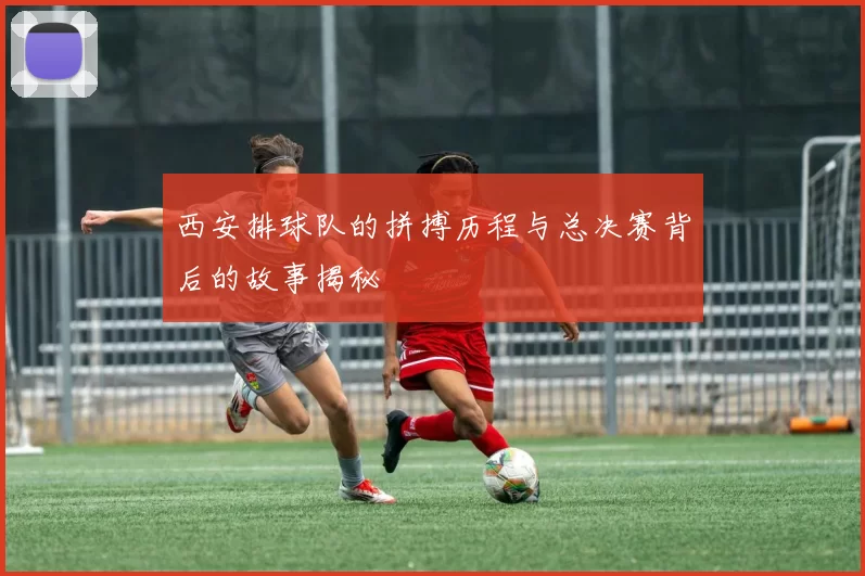 西安排球队的拼搏历程与总决赛背后的故事揭秘
