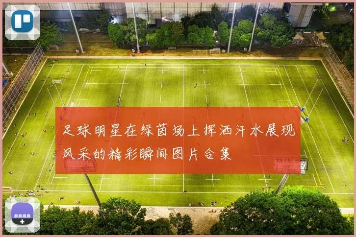 足球明星在绿茵场上挥洒汗水展现风采的精彩瞬间图片合集