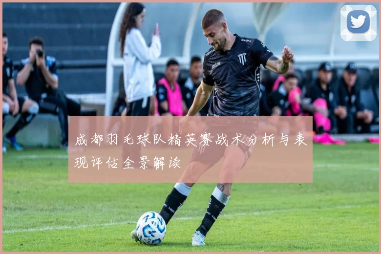 成都羽毛球队精英赛战术分析与表现评估全景解读