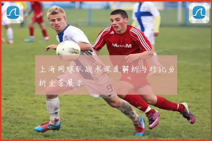 上海网球队战术深度解析与对比分析全景展示