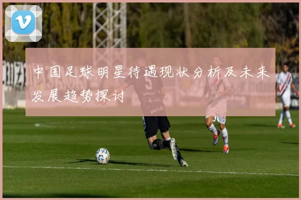 中国足球明星待遇现状分析及未来发展趋势探讨