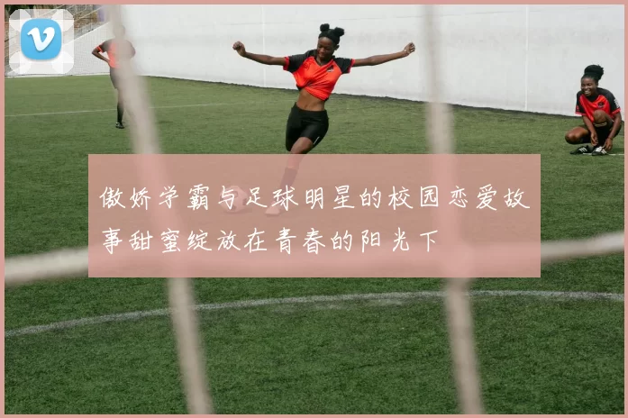 傲娇学霸与足球明星的校园恋爱故事甜蜜绽放在青春的阳光下