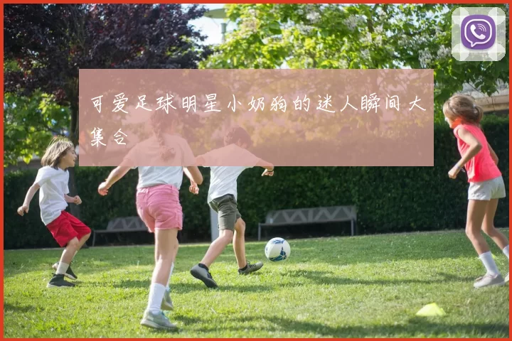 可爱足球明星小奶狗的迷人瞬间大集合