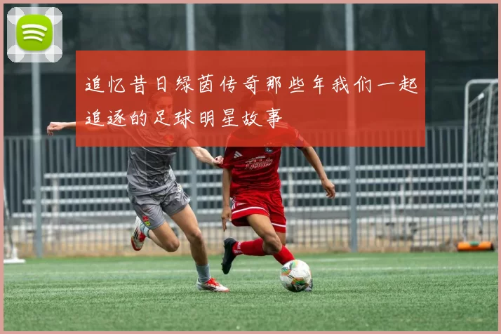 追忆昔日绿茵传奇那些年我们一起追逐的足球明星故事
